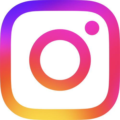 Instagram_Primary_Logo.png